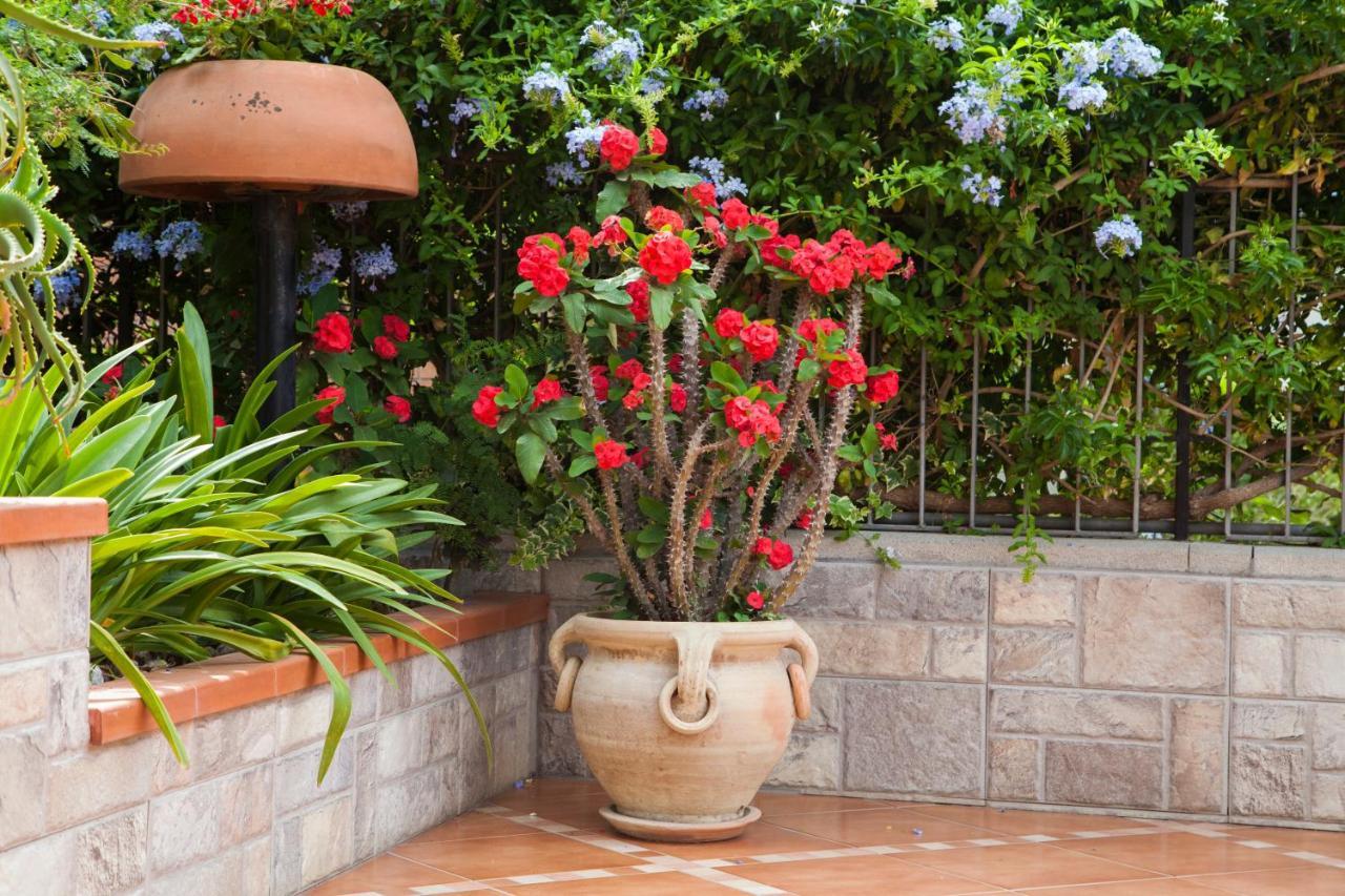 B&B Villa Carmen SantʼAlessio Siculo 外观 照片